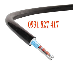 ống trích mẫu cems